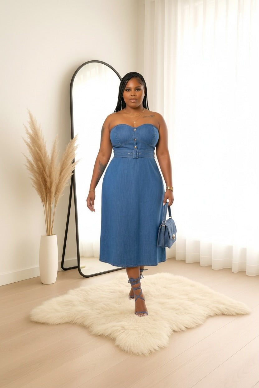 Monroe Midi Denim dress